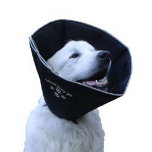 Comfy Cone Pet E-Collar