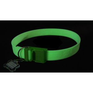 FurEver Brite Glow in the Dark Pet Safety Collar