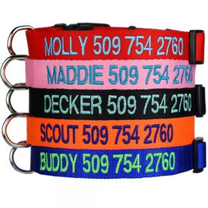 GoTags Custom Embroidered ID Dog Collars