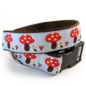 Bella Bean Toadstool Collar