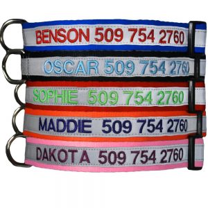 GoTags Reflective Safety Personalized Dog Collars