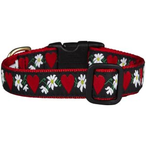 The Heart and Flowers Dog Collar