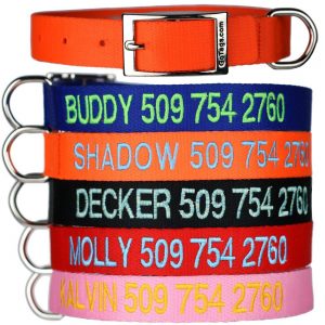 Custom Embroidered Tough Nylon Dog Collar with Stainless Steel Metal Buckle