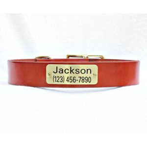 Magnus Brass Id Plate Leather Dog Collar