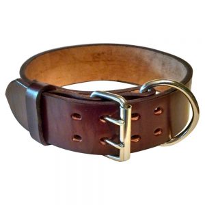 Pitbull Leather Dog Collar