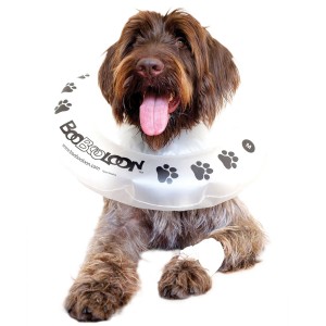 Protective Pet Collar