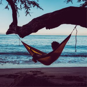 Best Hammock Straps • Reviews & Buying Guide (January 2025)