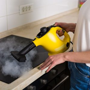 Best Steam Cleaner • Reviews & Buying Guide (January 2025)